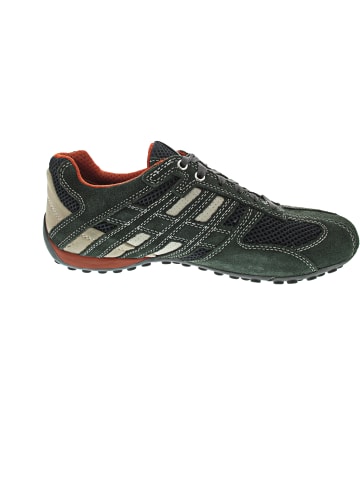 Geox Snake Sneaker low Grau