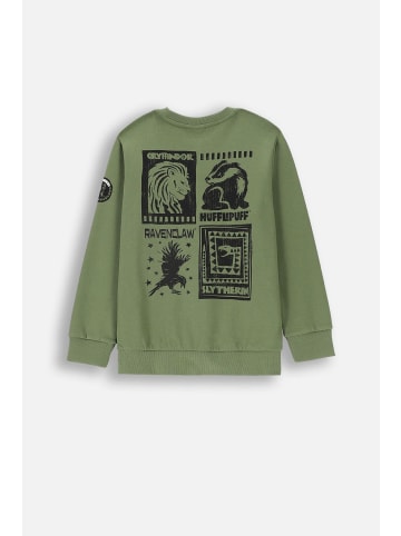 Coccodrillo Sweatshirt in grün