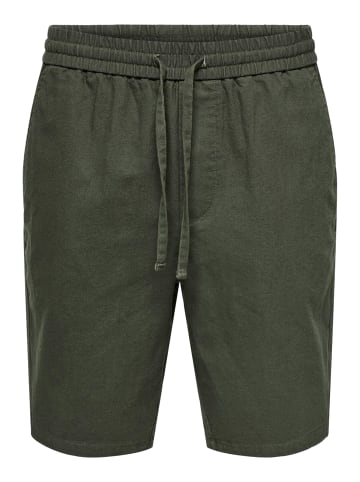 Only&Sons Shorts 'Linus' in grün