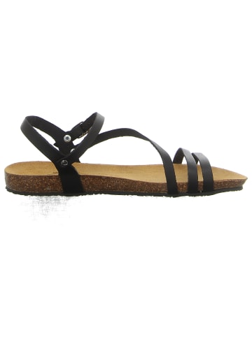 Plakton Riemchensandalette in schwarz