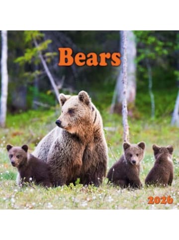 TUSHITA Kalender - Bears 2026