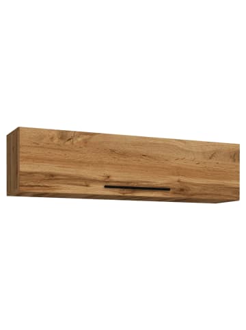 VCM  Holz Wandregal Klappschrank Arila XL in Honig-Eiche