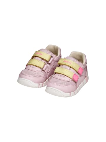 Geox Sneaker Kind aus Leder Lupidoo G A Mesh Geobuck Rose