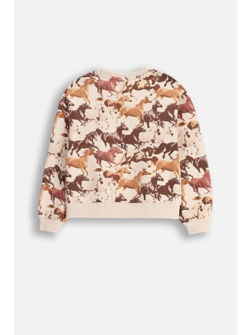 Coccodrillo Sweatshirt in beige