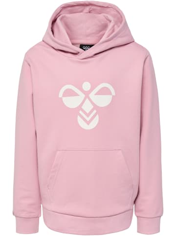 Hummel Hoodie Hmlcuatro Hoodie in ZEPHYR