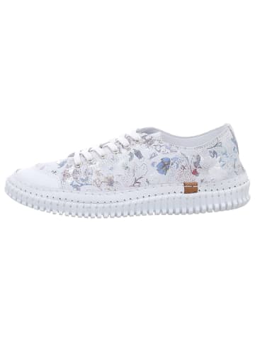 Andrea Conti SHOES Schnürschuhe in weiss/komb