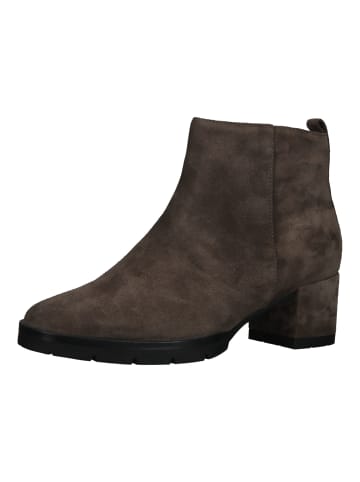 Högl Stiefelette in Taupe