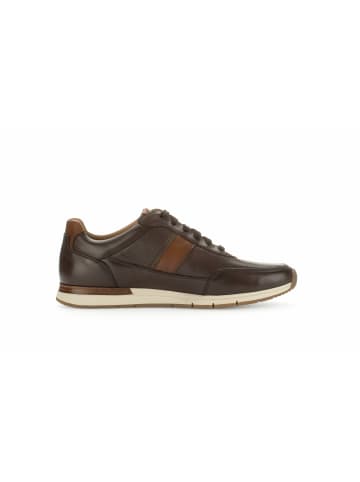 Gabor Sneaker für Herren in braun