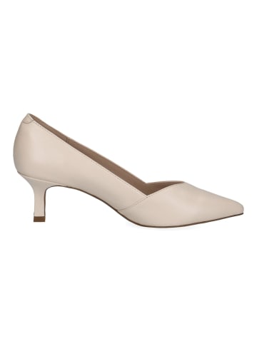 Caprice Pumps in Cream