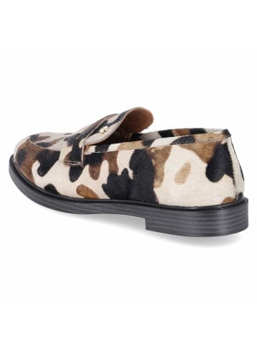 Bullboxer Slipper in multicolored