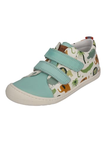 KOEL Sneaker Low DANNY PRINT  in bunt