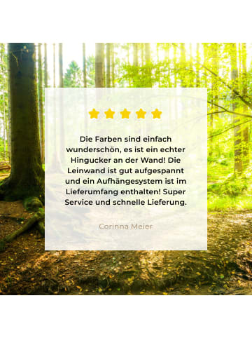 MuchoWow Leinwand bilder Waldlicht (BxH)