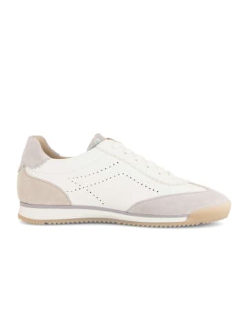 Gabor Sneaker low in multicolour