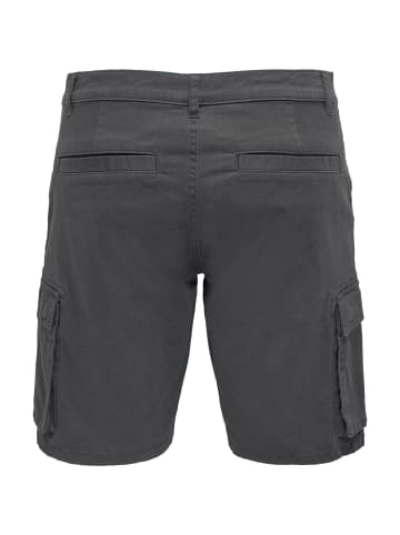 Only&Sons Shorts 'Cam Stage' in grau
