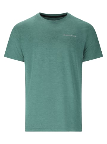 Endurance T-Shirt Abdon in 3100 Silver Pine