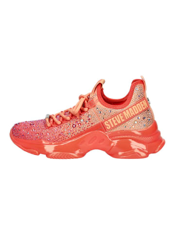 Steve Madden Sneaker in Peach