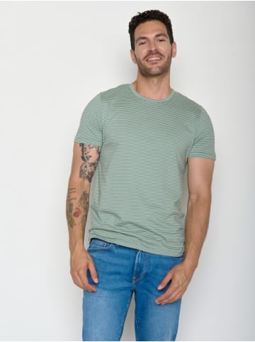 GreenBomb Spice Basic in Bamboo Stripes