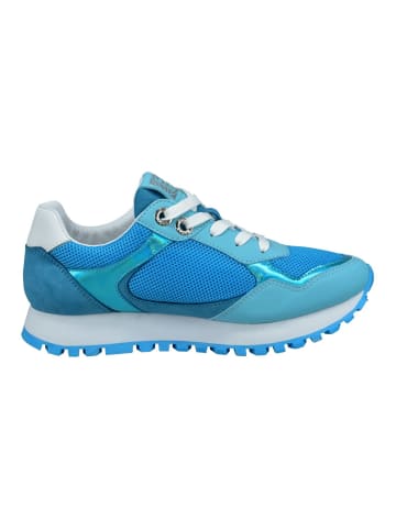 TT. BAGATT Sneaker in Blau