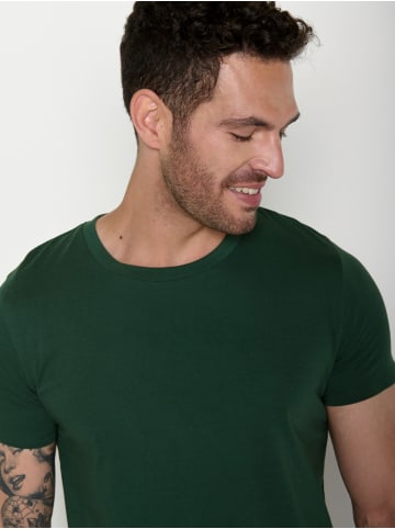 GreenBomb Guide Basic in Flaschen Grün