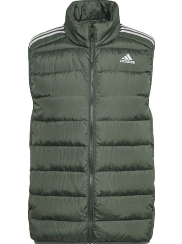 adidas Funktionsweste ESS DOWN VEST in Grün