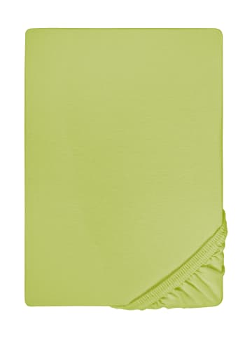 Biberna Spannbetttuch Feinjersey in apfelgrün