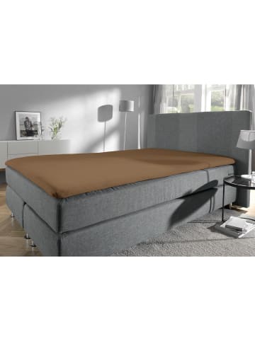 Erwin Müller Single-Jersey Topper-Spannbettlaken Freising in braun