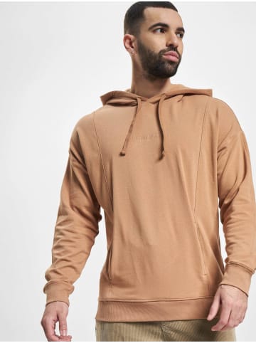 Calvin Klein Kapuzenpullover in sandalwood