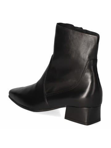 Paul Green Stiefeletten in schwarz