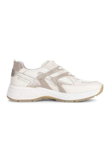 Gabor Sneaker low in multicolour