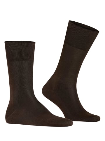 Falke Socken 1er Pack in Dunkelbraun