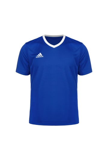 adidas Performance Trikot Entrada 22 in blau / weiß