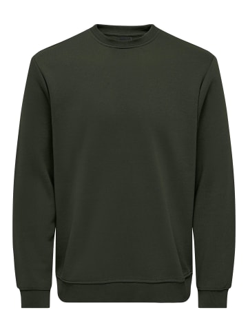 ONLY & SONS Sweatshirt in Rosin