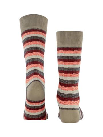 Burlington Socken Signature Stripe in Desert sand