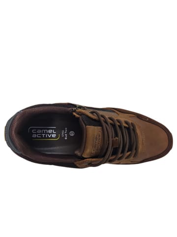 Camel Active sportlicher Schnürer  in Braun