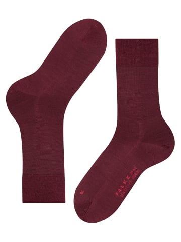 Falke Socken Sensitive Berlin in Barolo