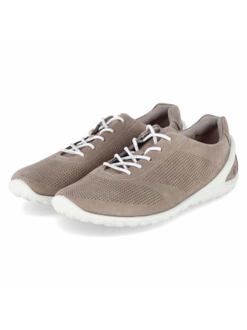 Ecco Schnürhalbschuh in taupe