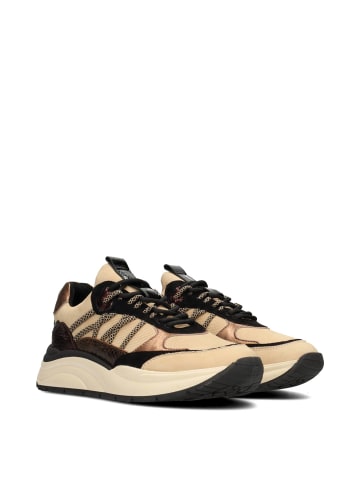 POELMAN Poelman CHARU Damen Sneaker
