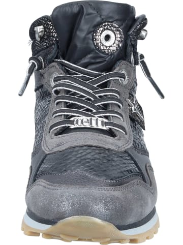Cetti Sneakers High, Freizeit Stiefeletten, Sneakers Mid in saturno snake antracita