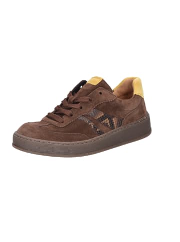 Gabor Sneaker Low in braun