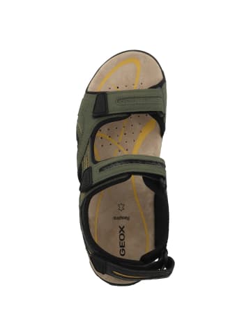 Geox Sandale U S Strada D in dunkelgruen
