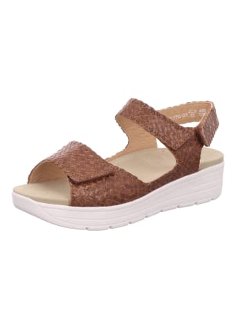 Solidus Pantolette Greta-Weite G in hazel