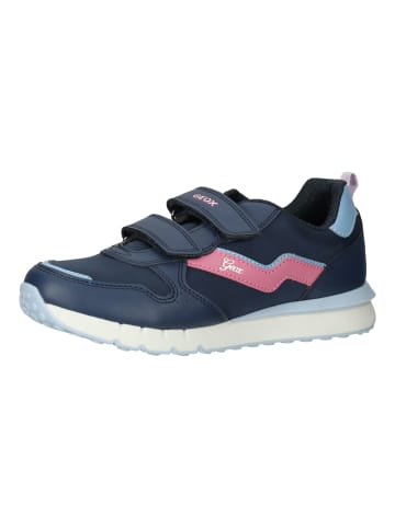 Geox Sneaker in Navy