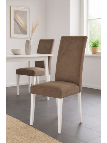 möbel-direkt Esszimmerstuhl (2Stück) Stella in braun