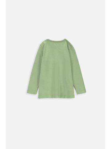 Coccodrillo Baumwoll-T-Shirt in khaki