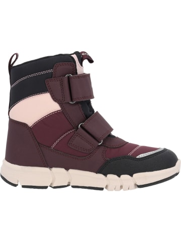 Geox Winterstiefel in dk burgundy