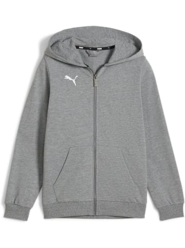Puma Hoodie "TeamGoal CasuaLongsleeve Hooded Jacket Jr" in Grau