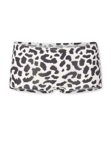 Schiesser Panty 955 Multi in sortiert 10