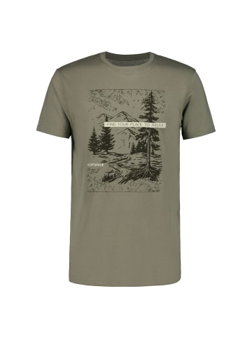 Icepeak T-Shirt Mosbach in Oliv