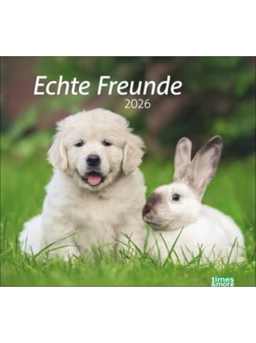 Heye Kalender Kalender - times&more Echte Freunde Bildkalender 2026