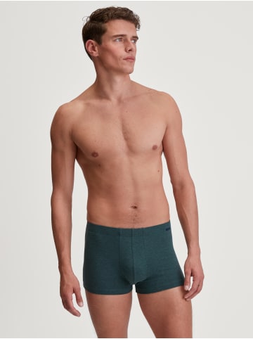 Calida New Boxer in dark glen melé